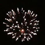 large willow flower rain